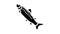 smolt salmon glyph icon animation