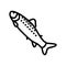 smolt salmon line icon vector illustration