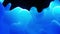 Smooth abstract animation of liquid gradient blue color in 4k. Bright matte paint surface as abstract looped festive