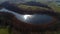 Smooth aerial shot over small lake. Sunrays on water