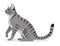 Smooth coated tabby cat with long tail icon, cute gray pet, domestic animal, vector illustration