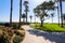 A smooth concreate footpath in the park surrounded by lush green palm trees and plants with green grass and blue sky