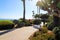 A smooth concreate footpath with people walking in the park surrounded by lush green palm trees and plants with green grass