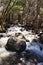 Smooth creek water over rocks in a forest