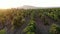 Smooth flight over the vineyards at sunset. In the distance, dust rises from a car that rushes along the road