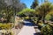 A smooth footpath through the garden with cactus plants along the walkway and lush green trees and plants