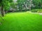 Smooth and fresh green grass lawn as a carpet in garden backyard, good care maintenance landscapes decorated with flowering plant