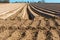 Smooth furrows of agricultural land, plowed field in spring