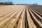 Smooth furrows of agricultural land, plowed field in spring