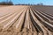 Smooth furrows of agricultural land, plowed field in spring