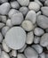 Smooth gray pebbles