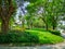Smooth green grass lawn, greenery trees and shrub in a good maintenance landscape and garden, gray curve pattern walkway