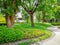 Smooth green grass lawn, greenery trees and shrub in a good maintenance landscape and garden, gray curve pattern walkway