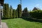 Smooth lawn in the courtyard of the house with thuja needles of different heights