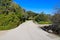 A smooth long paved walking path through the garden with lush green trees and plants along the path with blue sky