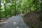 A smooth long winding concrete footpath in the forest surrounded by lush green trees at Lullwater Preserve