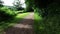 Smooth motion along an english countryside walkway and bridlepath