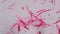 Smooth muscle separate under the microscope - Abstract pink line