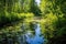 smooth, reflective pond in the midst of thick vegetation