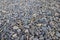 Smooth round pebbles texture background. Pebble sea beach