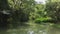 Smooth shot of canal in rain forest. reflection on foliage on water.