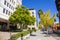 A smooth sidewalk with people walking surrounded by lush green trees, yellow autumn trees, buildings and cars, trucks and buses