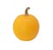 Smooth-skinned orange ornamental gourd
