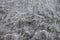 Smooth stone texture background. Distressed stone surface. Rustic boho template. Grey mineral white veins surface