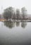 Smooth surface of lake reflected tree