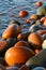 Smooth Tumbled Boulders on Lake Superior