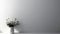 A smooth white empty wall against a flowers vase in living room interior and natural fade light. Created using generative AI.