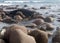 Smoothed boulders rounded by water at Stokes Bay