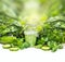 Smoothie in glass over green vegetables background on white table