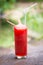 Smoothie water melon on green background