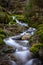 Smoothly flowing stream of water in the woods