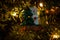 Smore snow man and christmas tree ornament