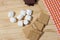 Smores. Marshmallow with Chocolate and Graham Crackers