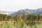 Smreczynski Pond, Tatra National Park, Poland. Mountain lake in the forest