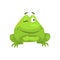 Smug Winking Green Frog Funny Character Childish Cartoon Illustration