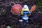 A smurf next to Amanita muscaria, commonly known as the fly agaric