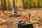 Snack in the forest. Cooking in the forest. Bonfire in the forest