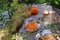 A snack with fruit pie and coffee in the garden.