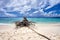 Snag on the beautiful beach and blue sky with clouds