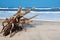 snag lies on the shore of the atlantic ocean. blue waves, blue sky