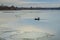 Snagov lake during wintertime.Cloudy day.Gorgeous landscape.Frost on the surface