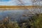 Snags and fallen trees on the steep bank of the river