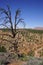 Snags overlook Huber wash