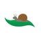 Snail. Animal slug, vector illustration