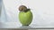 Snail on an apple close-up. A snail is crawling over an apple. Snail on a green apple