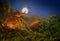 A snail on a boletus against the background of the moon. Mushroom clam. Macro. Night.